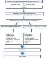 https://www.europeanjournalofmidwifery.eu/f/fulltexts/191737/EJM-8-49-g001_min.jpg