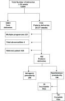 https://www.europeanjournalofmidwifery.eu/f/fulltexts/191993/EJM-8-55-g001_min.jpg